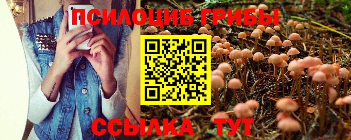 Галлюциногенные грибы Psilocybine cubensis  Вход с VPN  Рославль 